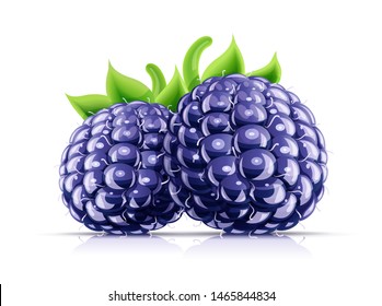 Blackberry. Fresh Organic Berry. Juicy Ripe Fruit. Vegetarian Meal. Healthy Food. Yummy Blackberries, Isolated On White Background. Eps10 Vector Illustration.