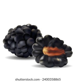 Blackberry. Fresh, sweet and tasty blackberry. Symbols of berries. Elements for label design. Vector illustration. Berries ingredients in mesh techniq