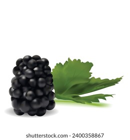 Blackberry. Fresh, sweet and tasty blackberry. Symbols of berries. Elements for label design. Vector illustration. Berries ingredients in mesh techniq