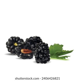 Blackberry. Fresh, sweet and tasty blackberry. Symbols of berries. Elements for label design. Vector illustration. Berries ingredients in mesh techniq