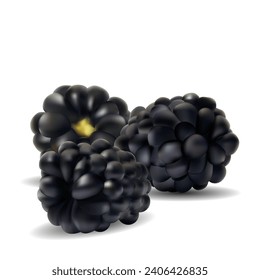 Blackberry. Fresh, sweet and tasty blackberry. Symbols of berries. Elements for label design. Vector illustration. Berries ingredients in mesh techniq