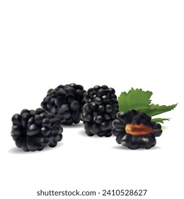 Blackberry. Fresh, sweet and tasty blackberry. Symbols of berries. Elements for label design. Vector illustration. Berries ingredients in mesh techniq