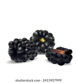 Blackberry. Fresh, sweet and tasty blackberry. Symbols of berries. Elements for label design. Vector illustration. Berries ingredients in mesh techniq