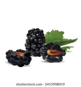 Blackberry. Fresh, sweet and tasty blackberry. Symbols of berries. Elements for label design. Vector illustration. Berries ingredients in mesh techniq