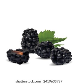 Blackberry. Fresh, sweet and tasty blackberry. Symbols of berries. Elements for label design. Vector illustration. Berries ingredients in mesh techniq