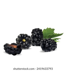 Blackberry. Fresh, sweet and tasty blackberry. Symbols of berries. Elements for label design. Vector illustration. Berries ingredients in mesh techniq