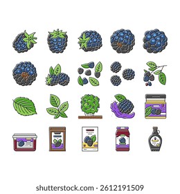 blackberry fruit berry black food icons set vector. black summer ripe plant, summer dessert, organic fresh berries wild blackberry fruit berry black food color line illustrations
