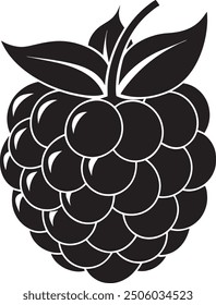 Blackberry Fruit Black And White Illustration