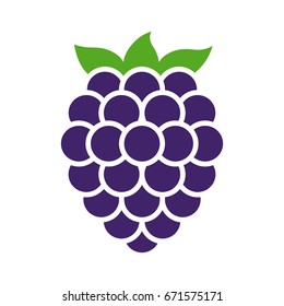 Blackberry fruit or blackberries flat color vector icon for food apps and websites