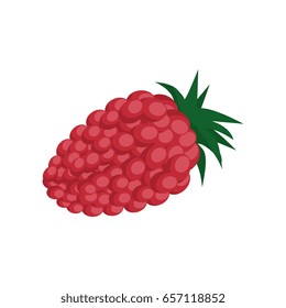 blackberry fruit icon