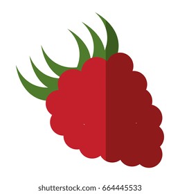 blackberry fruit icon 