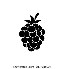 Blackberry Fruit Icon In Black Flat Glyph, Filled Style Isolated On White Background