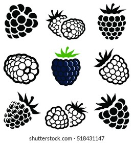 Blackberry Fruit Icon Collection - Vector Outline And Silhouette