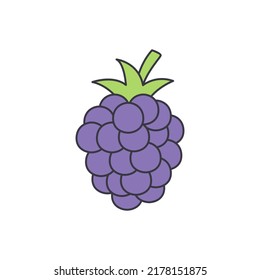 Blackberry Fruit Icon In Color, Isolated On White Background 