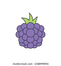 Blackberry Fruit Icon In Color, Isolated On White Background 
