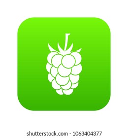 Blackberry fruit icon digital green for any design isolated on white vector illustration