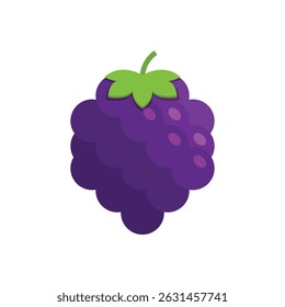 Blackberry fruit icon in flat style. Grape berry vector illustration on isolated background. Nature snack sign business concept.