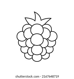 Blackberry Fruit Icon In Line Style Icon, Isolated On White Background
