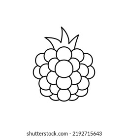 Blackberry Fruit Icon In Line Style Icon, Isolated On White Background