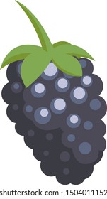 Blackberry fruit icon, minimal style. Vector illustration