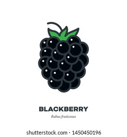 Blackberry fruit icon, outline with color fill style vector illustration