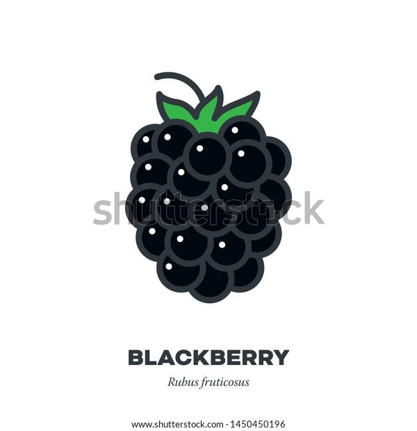 blackberry fruit color