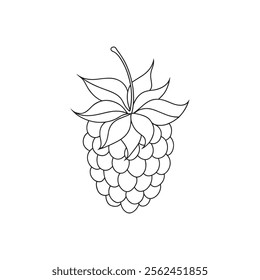 Blackberry fruit with leaf Continuous line art flat vector illustration