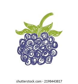 Esbozo de frutas de Blackberry. Ilustración del vector de color. Dibujo de doodle con lápiz o marcador