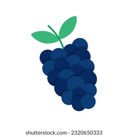 Blackberry fruit with slice icon for logo of apps and games vector illustration isolated on white background