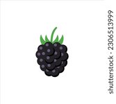Blackberry fruit summer illustration in realistic vector design with shadow