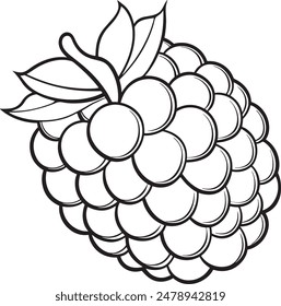 Blackberry Fruit Vector for Coloring Pages for Kids