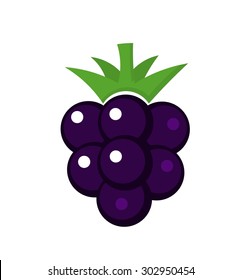 Blackberry fruit. Vector illustration