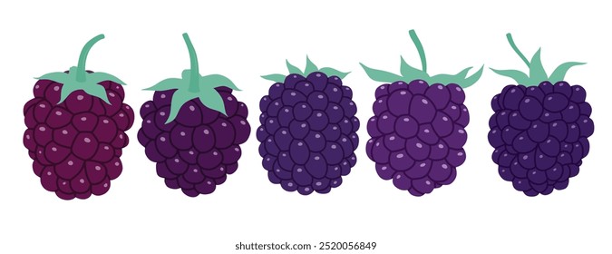 Vetor de frutas de amora definir estilo de desenho animado bonito. isolado no fundo branco.