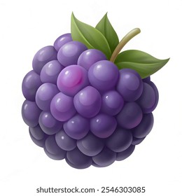 Ícone de frutas de Blackberry. Frutas frescas e boa comida. ilustração vetorial sobre fundo branco.