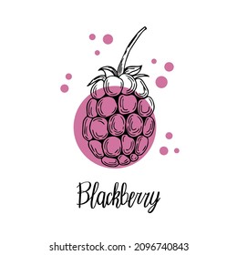 Blackberry Hand Drawn Poster. Stock Vector Illustration.