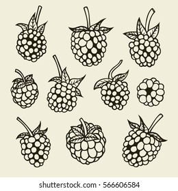 Blackberry Hand Drawn Sketch. Vector Illustration Image