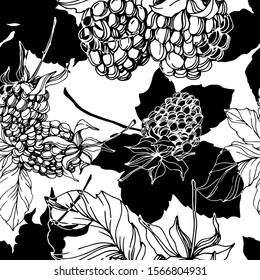 Blackberry healthy food. Black and white engraved ink art. Seamless background pattern. Fabric wallpaper print texture on white background.