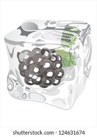 Blackberry in ice cube