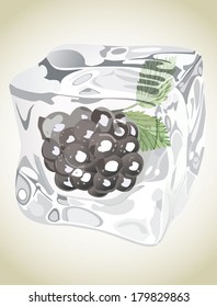 Blackberry in ice cube