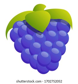 Icono de Blackberry. Dibujo de un icono del vector blackberry para el diseño web aislado en fondo blanco