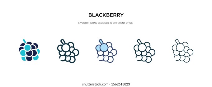 blackberry icon in different style vector illustration. two colored and black blackberry vector icons designed in filled, outline, line and stroke style can be used for web, mobile, ui