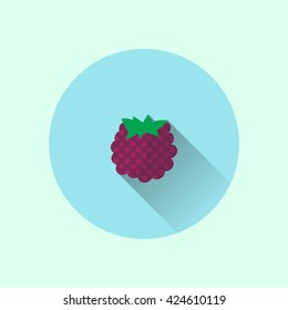 blackberry icon. blackberry flat. blackberry vector