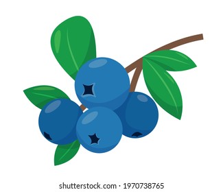 Blackberry icon isolated on white background. Blackberies on branch with leaves. Vector illustration.