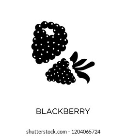 Blackberry icon. Blackberry symbol design from Fruit and vegetables collection. Simple element vector illustration on white background.