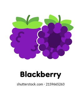 Blackberry icon, Vector, Illustration .