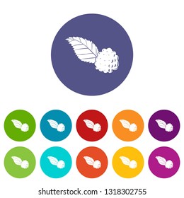 Blackberry icons color set vector for any web design on white background
