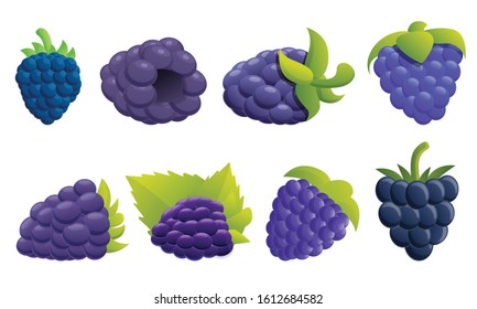Blackberry icons set. Cartoon set of blackberry vector icons for web design