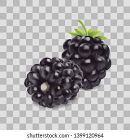 Blackberry isolated on transparent grid background. 3d vector Realistic illustration. Berry icon