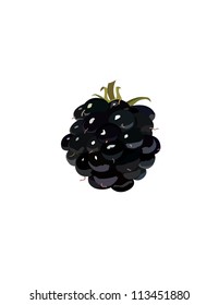Blackberry isolated on white background