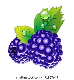 Blackberry isolated on white background.